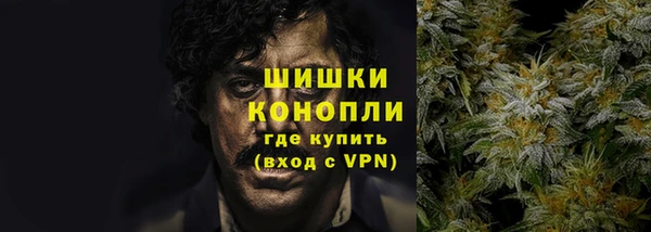 крисы Белоозёрский