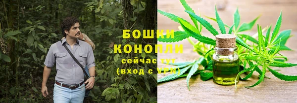 крисы Белоозёрский