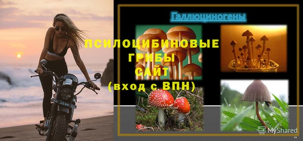 крисы Белоозёрский