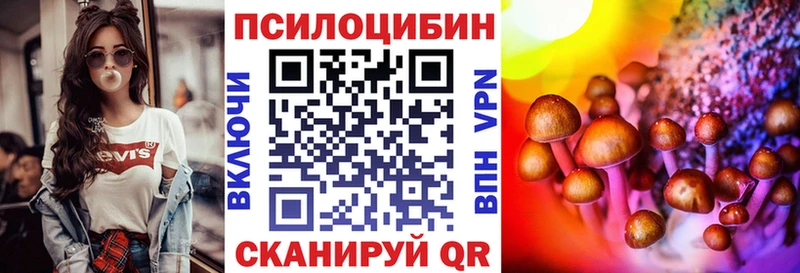 мега рабочий сайт  нарко площадка Telegram  Буйнакск  Псилоцибиновые грибы мицелий  где найти наркотики 