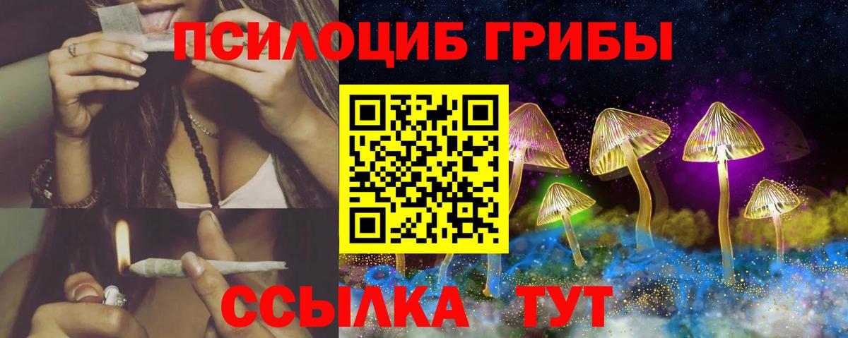 Буйнакск  Псилоцибиновые грибы мухоморы  даркнет сайт  Галлюциногенные грибы Psilocybe  Вход с VPN 