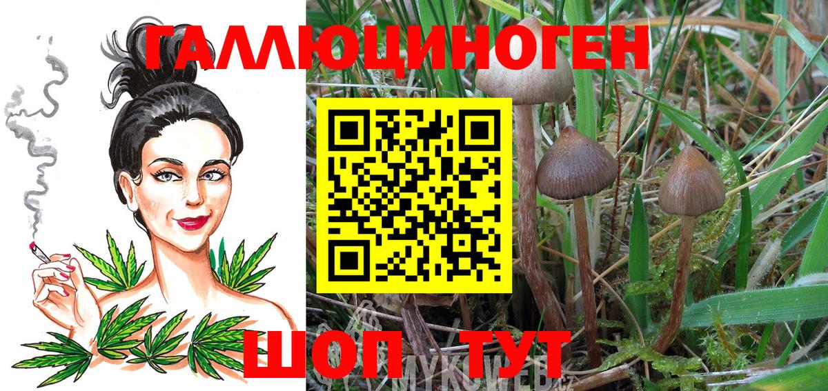 Псилоцибиновые грибы ЛСД Буйнакск