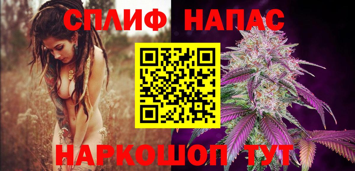 Бошки Шишки тримм  МАРИХУАНА планчик  Буйнакск  Конопля THC 21%  Вход с VPN 